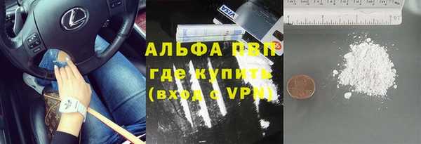 шишки Богданович