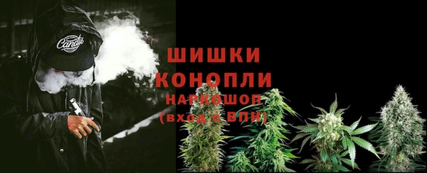 шишки Богданович