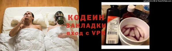 шишки Богданович