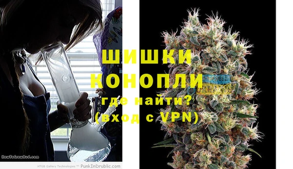 дурь Белокуриха