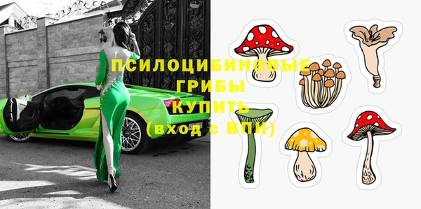 не бодяженный Богородицк