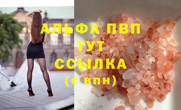 гашик Россошь