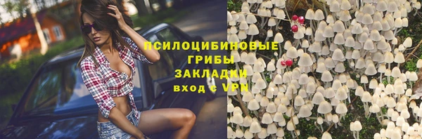 шишки Богданович