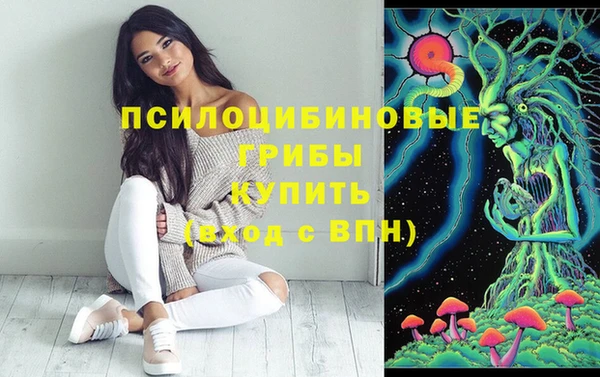 гашик Россошь