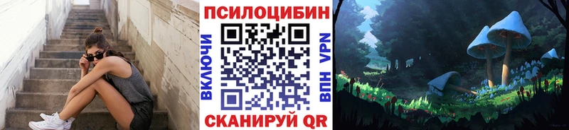 omg онион купить наркоту Мегион Галлюциногенные грибы Psilocybine cubensis